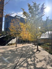 新着情報の画像